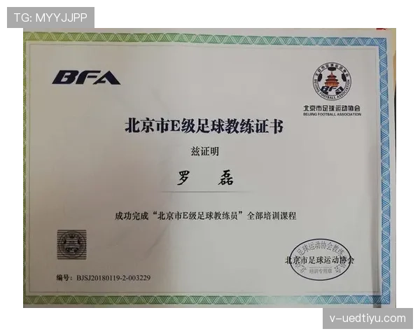 足球边裁职责详解:判罚重点与协助裁判的关键规则